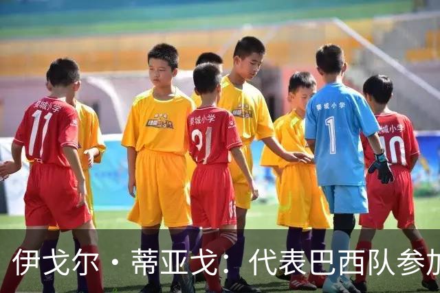 伊戈尔·蒂亚戈：代表巴西队参加世界杯，是我从小的梦想
